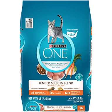 healthiest cat dry food